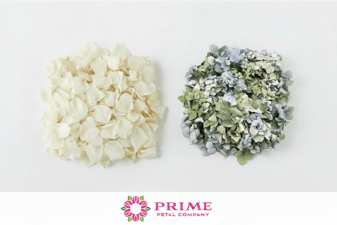 Ivory rose petals and blue-green hydrangea petals side by side – Prime Petal Company