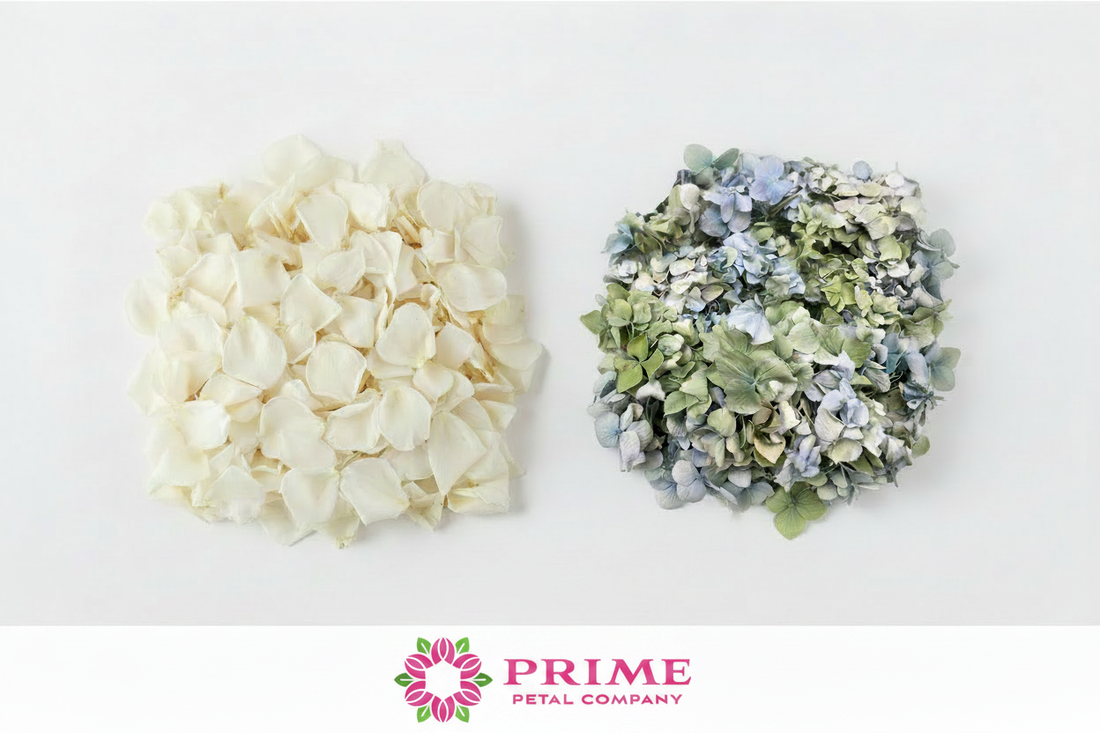 Ivory rose petals and blue-green hydrangea petals side by side – Prime Petal Company