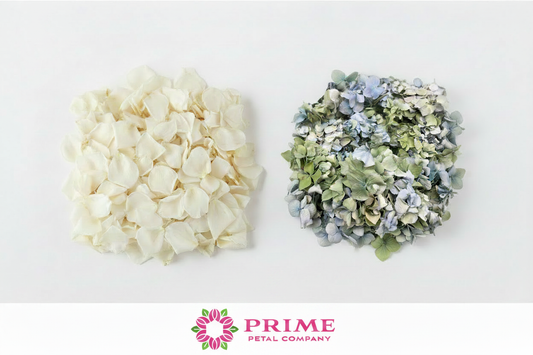 Ivory rose petals and blue-green hydrangea petals side by side – Prime Petal Company