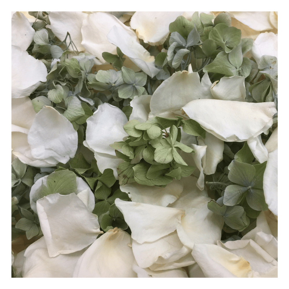 Bulk Irish Blend green hydrangea and ivory rose petals for weddings – Prime Petal Company