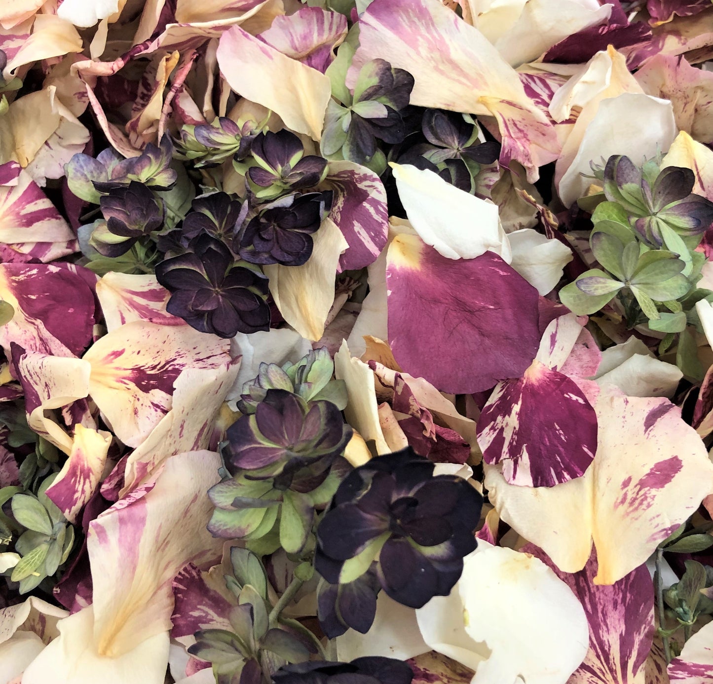 Peppermint Twist rose and hydrangea petal blend for wedding décor – Prime Petal Company