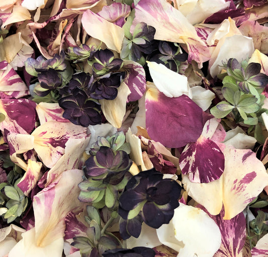 Peppermint Twist rose and hydrangea petal blend for wedding décor – Prime Petal Company