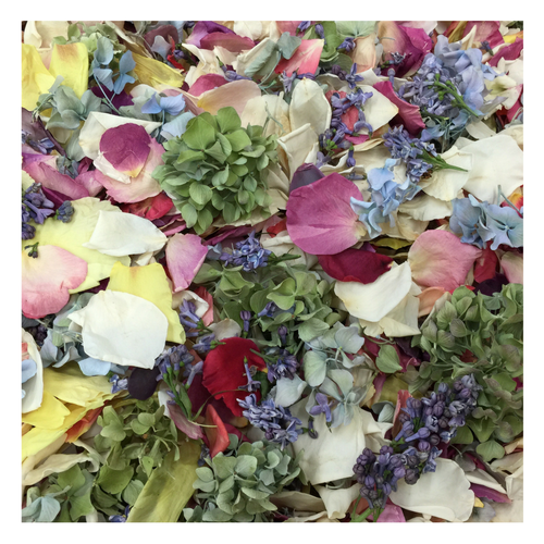 Bulk Blissful Bloom mixed flower petals for weddings and events – Prime Petal Company. Colorful mix of dried flowers and petals in various colors.