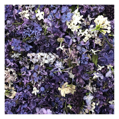 Bulk assorted lilac petals for wedding aisle décor – Prime Petal Company