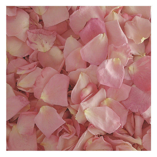 Bulk pink rose petals for wedding aisle and décor – Prime Petal Company