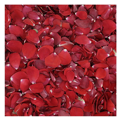 Flower girl petal pail with real rose petals for weddings – Prime Petal Company