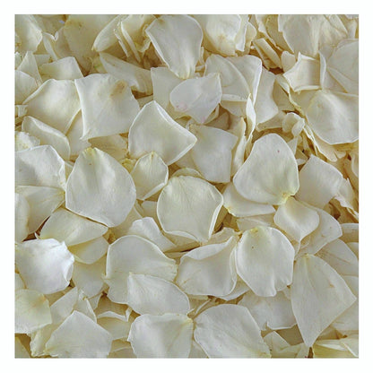 Flower girl petal pail with real rose petals for weddings – Prime Petal Company