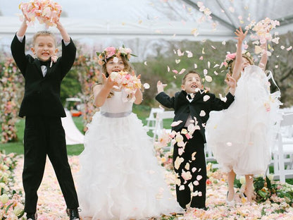 Romance Red Rose Petals– Romantic Bulk Flower Petals for Weddings