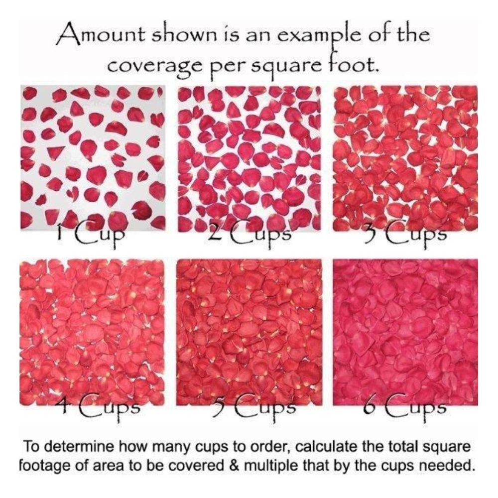 Bulk Wine Green Hydrangea Petals for weddings – Prime Petal Company. Chart showing coverage of red rose petals per square foot with text instructions.