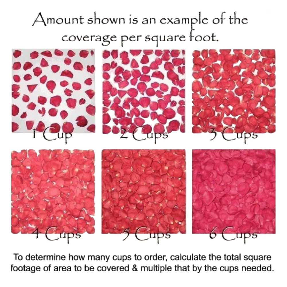 Bulk pink rose petals for wedding aisle and décor – Prime Petal Company. Chart showing coverage of red rose petals per square foot with text instructions.