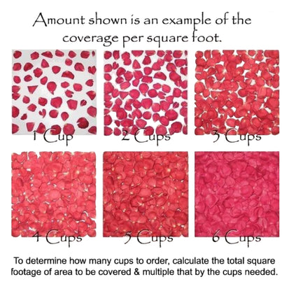 Bulk pink rose petals for wedding aisle and décor – Prime Petal Company. Chart showing coverage of red rose petals per square foot with text instructions.