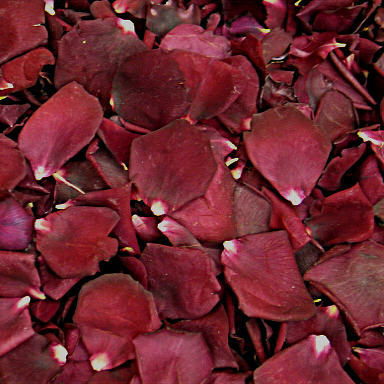 Flower girl petal pail with real rose petals for weddings – Prime Petal Company