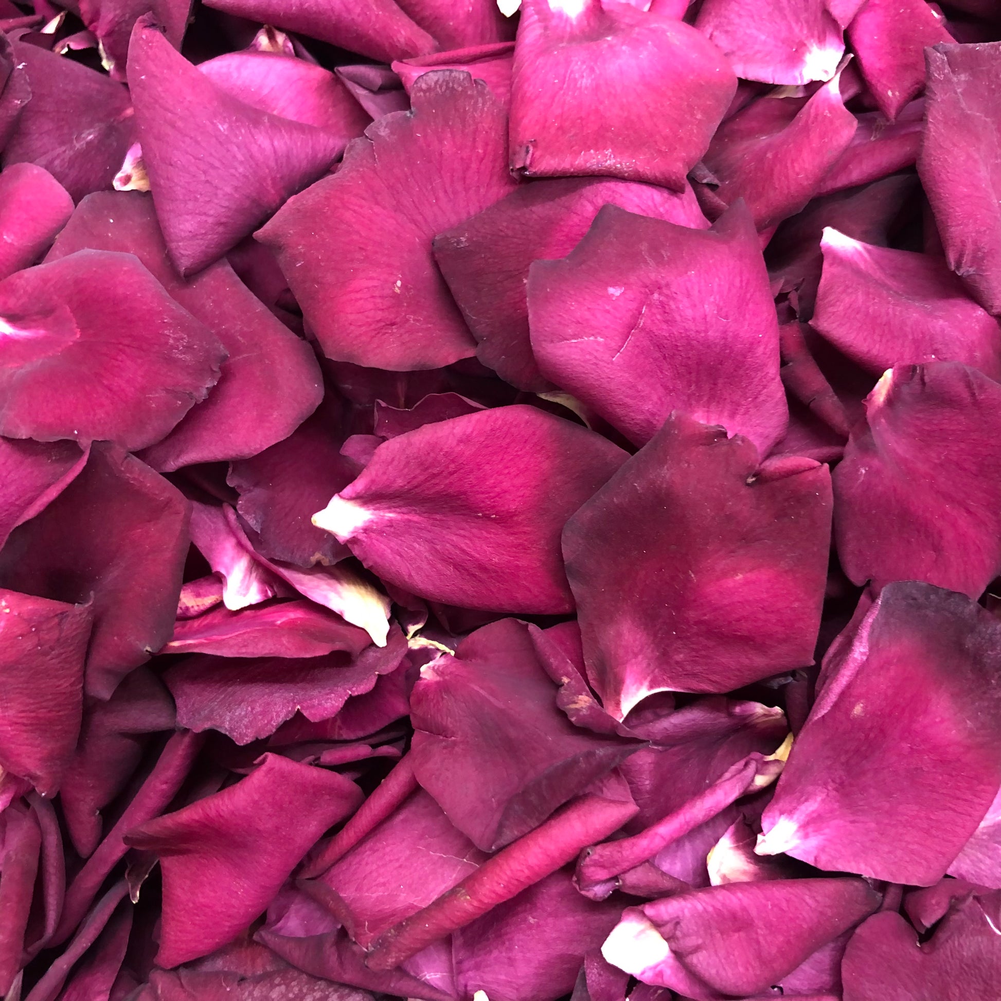 Bulk crimson rose petals for rich red wedding and event décor – Prime Petal Company