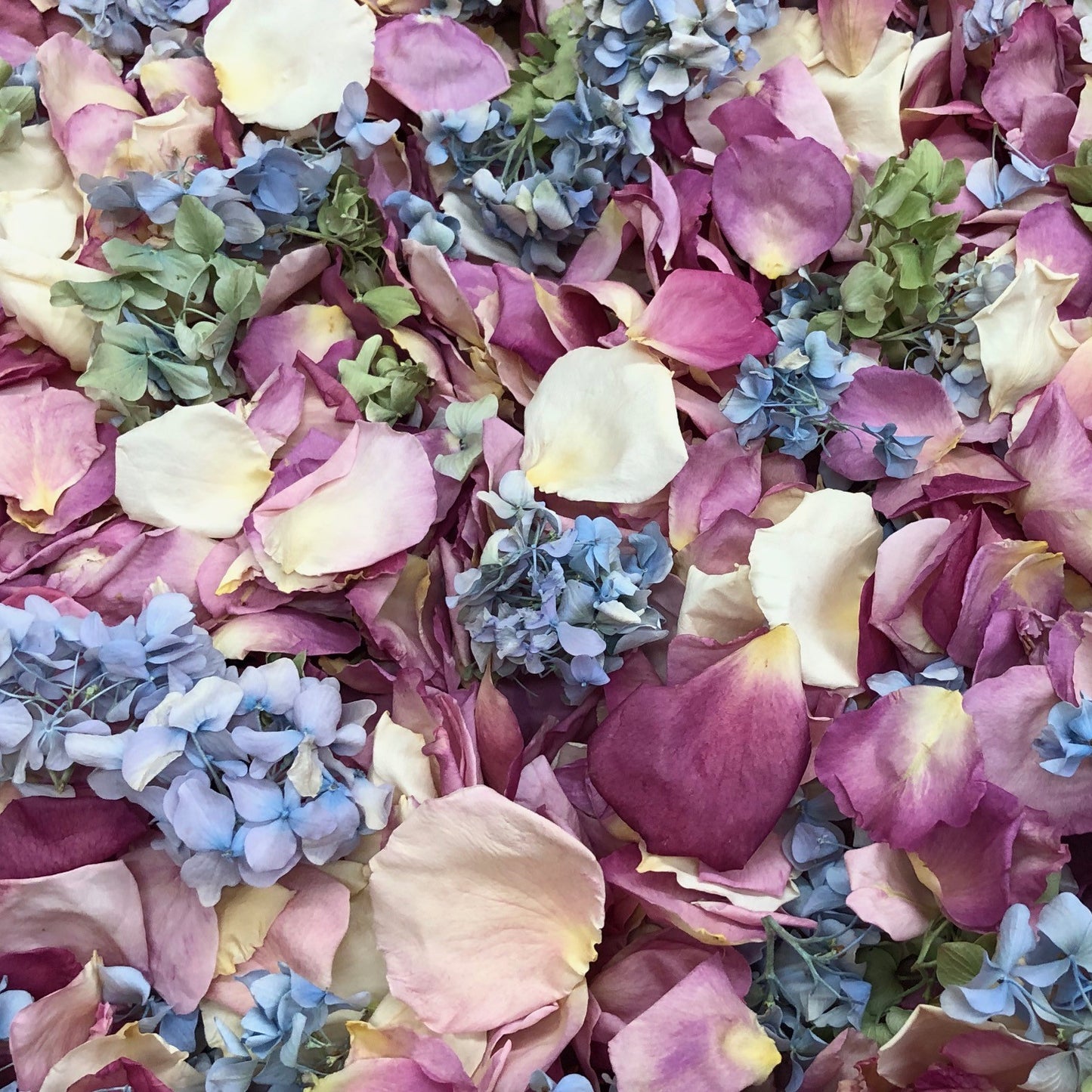 Bulk Enchanted Garden mixed rose and hydrangea petals for weddings – Prime Petal Company. Close-up of colorful flower petals and small flowers in a mix of pink, purple, blue, and yellow.