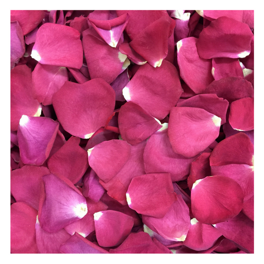 Bulk ruby rose petals for weddings and romantic events – Prime Petal Company