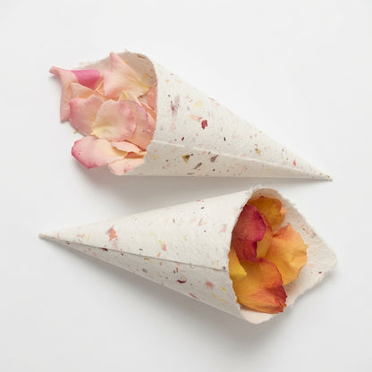 Wildflower Seed Petal Cone DIY Kit – 20 pc