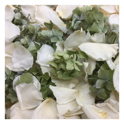 Bulk Irish Blend green hydrangea and ivory rose petals for weddings – Prime Petal Company