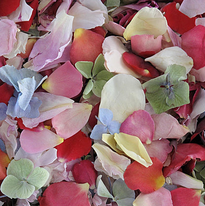 Bulk Blissful Bloom mixed flower petals for weddings and events – Prime Petal Company.  Colorful mix of flower petals 
