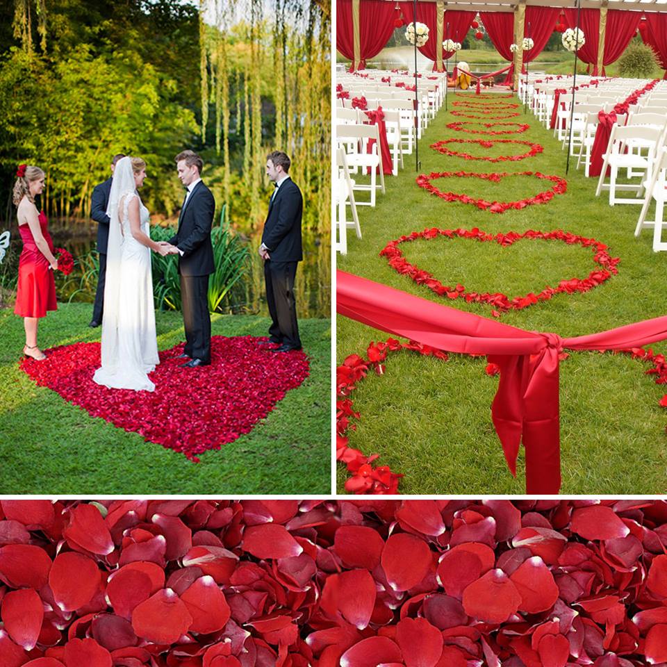 Bulk romance red rose petals for romantic wedding décor – Prime Petal Company. Collage of a wedding ceremony with red rose petals forming hearts on the grass.