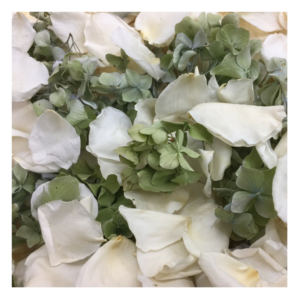 Bulk green hydrangea petals for wedding and event décor – Prime Petal Company