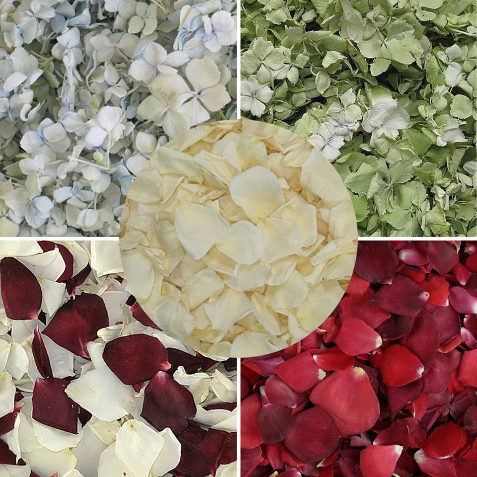 Bulk green hydrangea petals for wedding and event décor – Prime Petal Company. Collage of different colored flower petals including white, green, red, blue, burgundy petals