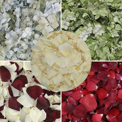 Bulk green hydrangea petals for wedding and event décor – Prime Petal Company. Collage of different colored flower petals including white, green, red, blue, burgundy petals