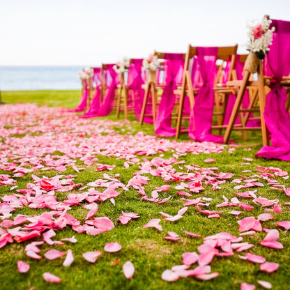 Bulk pink rose petals for wedding aisle and décor – Prime Petal Company. Decorative setup with pink chairs, pink fabric, and pink rose petals decorating an outdoor wedding aisle.