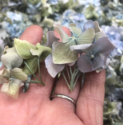 Bulk blue green hydrangea petals for wedding décor – Prime Petal Company. Dried hydrangea flowers held in a hand with a blurred natural background