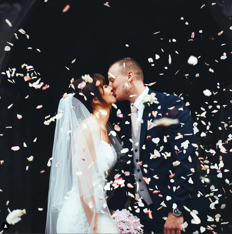 Ivory Rose Petals - Bulk Real Flower Petals for Weddings & Events