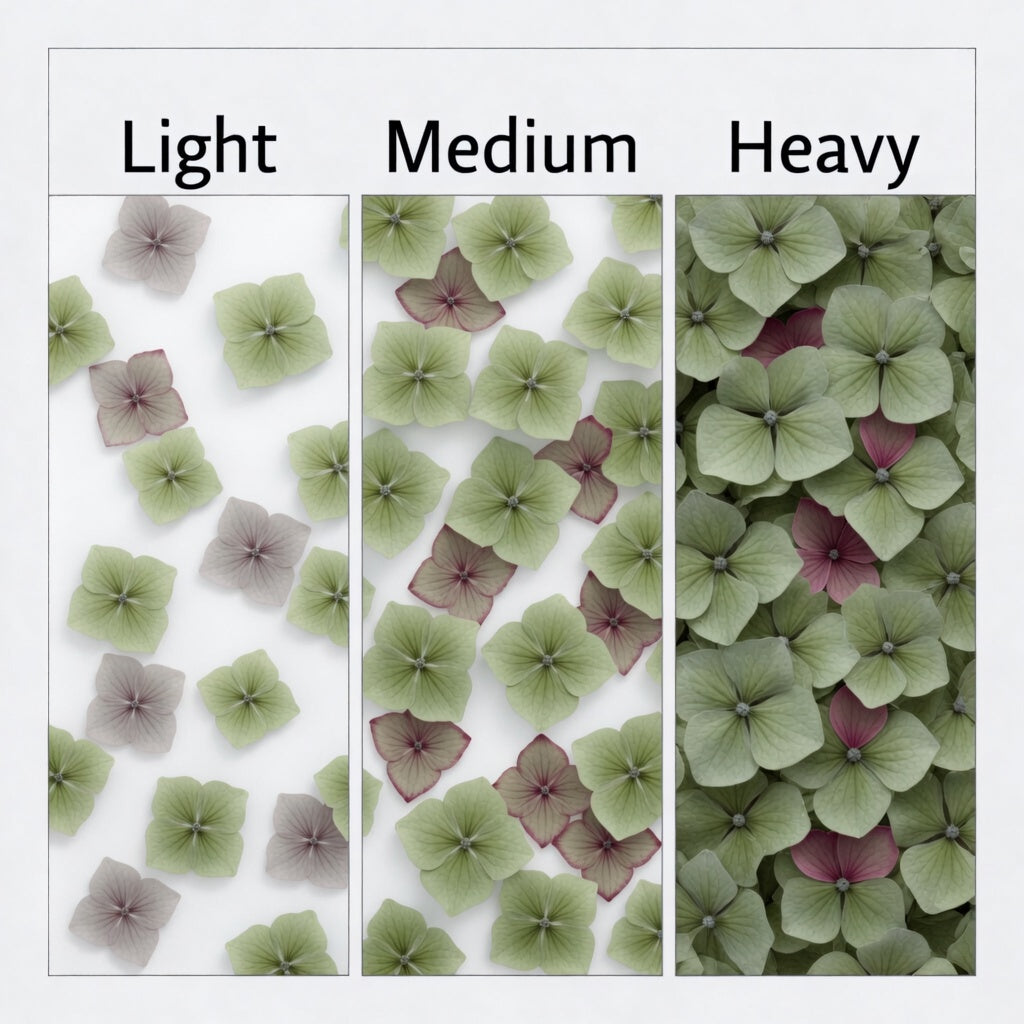 Bulk Wine Green Hydrangea Petals for weddings – Prime Petal Company. Three sections labeled 'Light', 'Medium', and 'Heavy' with green and pink hydrangea petals.