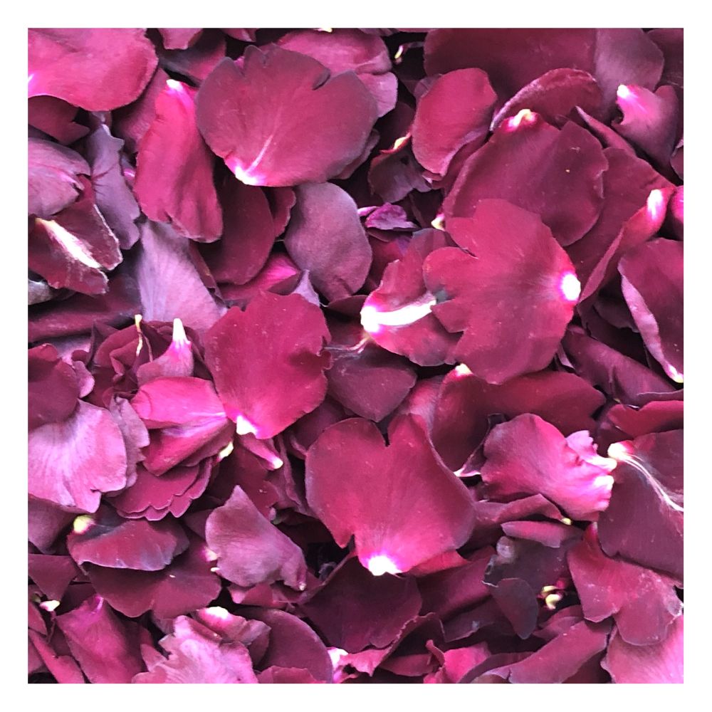 Bulk crimson rose petals for rich red wedding and event décor – Prime Petal Company