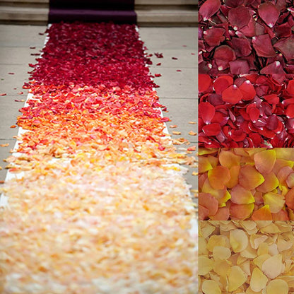 Bulk Sunset Serenade warm-toned rose petals for outdoor weddings – Prime Petal Company. The gradient of red, orange, and yellow rose petals on a wedding aisle