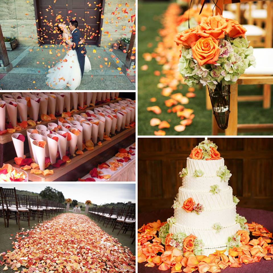 Bulk orange ombre gradient rose petals for fall weddings – Prime Petal Company. Collage of wedding decorations including flowers, cake, and chairs with orange rose petals.