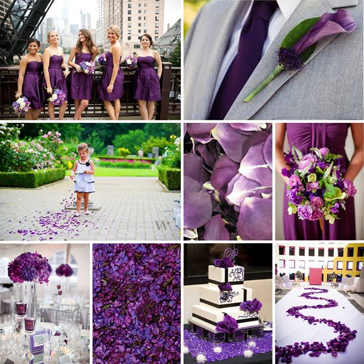 Bulk purple rose petals for wedding celebrations and event décor – Prime Petal Company. Collage of wedding photos featuring purple dresses, flowers, lilac and rose petals and decorations.