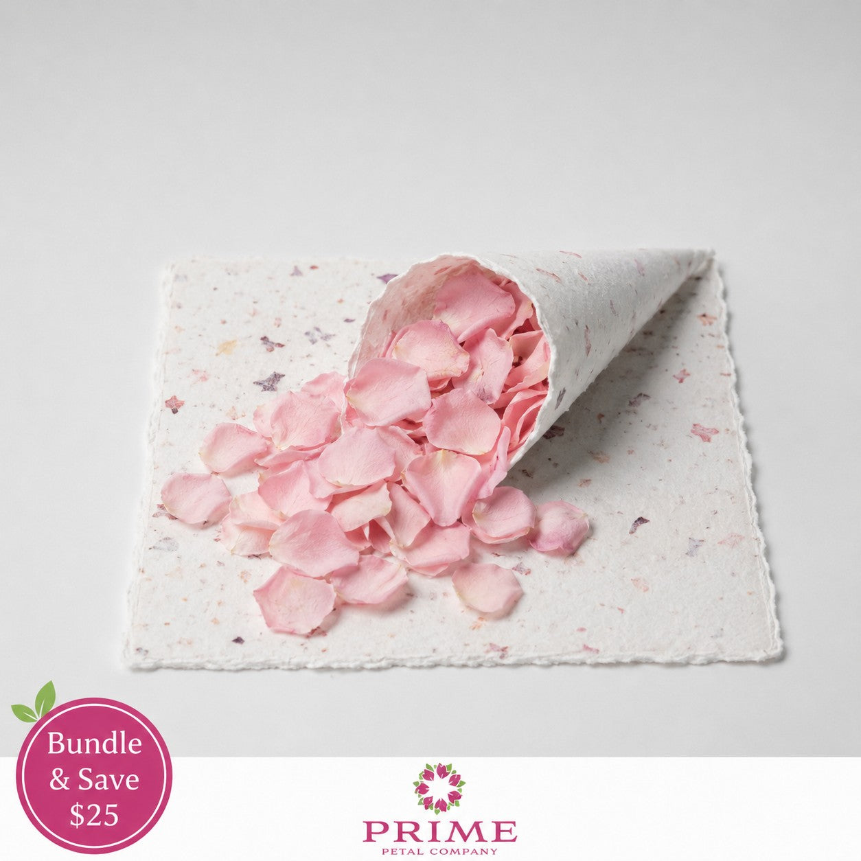 Pink Rose Aisle Runner Kit – Bulk Petals & Petal Cones for Weddings