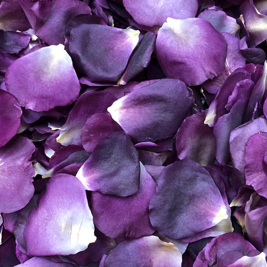 Bulk purple rose petals for wedding celebrations and event décor – Prime Petal Company