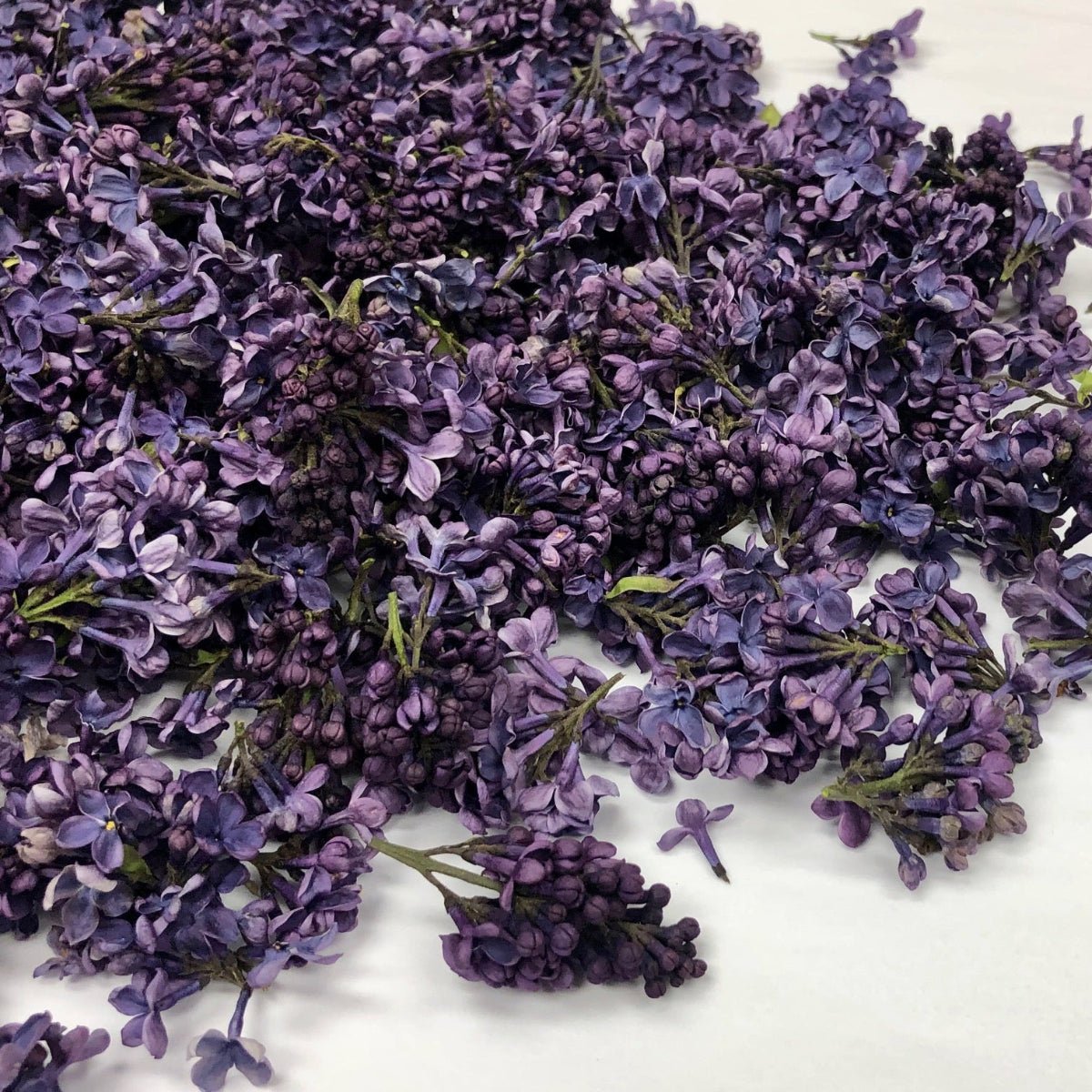 Bulk fresh purple lilac petals for weddings & special events – Prime Petal Company