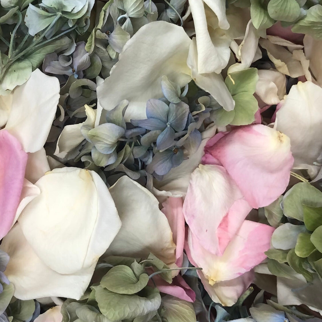 Flower girl petal pail with real rose petals for weddings – Prime Petal Company
