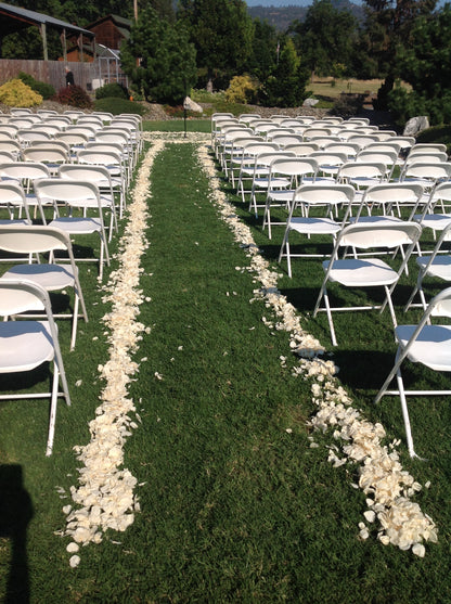 Bulk ivory rose petals for elegant wedding aisle and event décor – Prime Petal Company. Wedding aisle lined with a border of rose petals by the chairs 