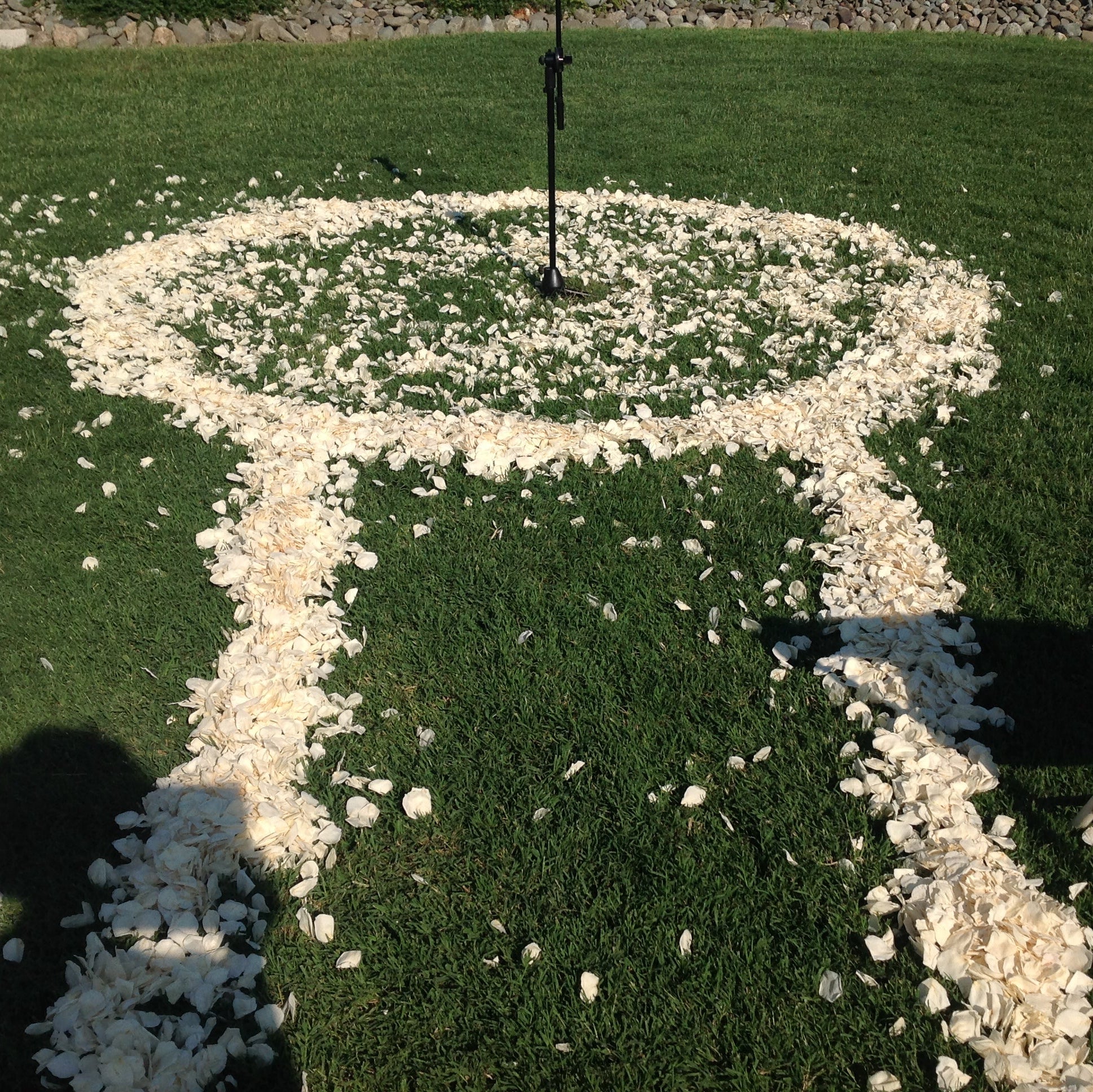 Ivory rose petals arranged in a circle for the wedding vow exchange