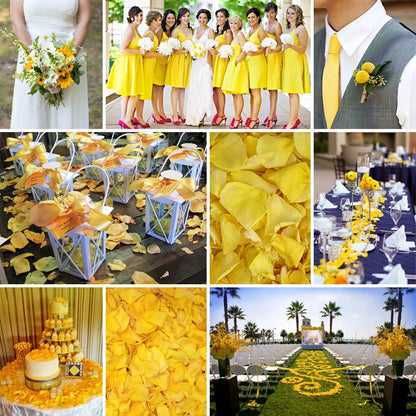 Bulk yellow rose petals for bright wedding aisle and party décor – Prime Petal Company. Collage of yellow rose petals -themed wedding decorations and attire.