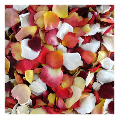 Flower girl petal pail with real rose petals for weddings – Prime Petal Company