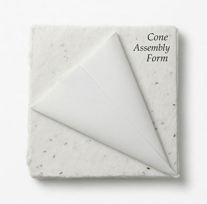 White wildflower seed petal cone kit set of 20 – Prime Petal Company