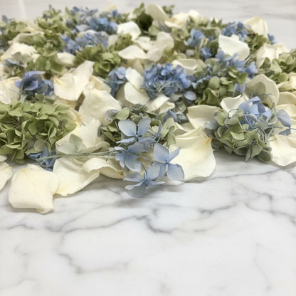 Close-up Whisper Garden Blend Freeze-dried ivory rose petals with blue and green hydrangea florets close up – Prime Petal Company